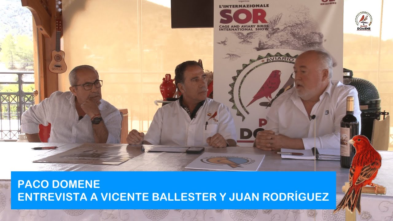 Paco Domene Entrevista a Juan Rodríguez  Criador  y Vicente Ballester Delegado de FOCVA Alicante