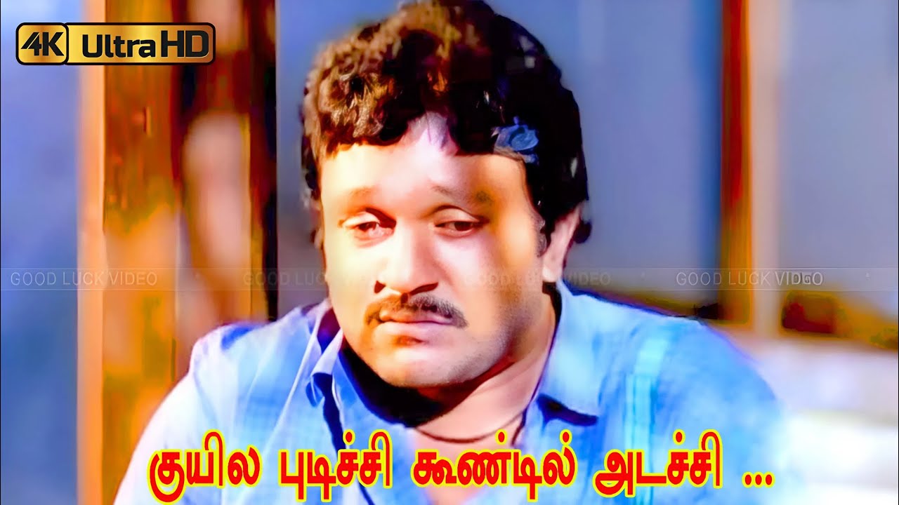 குயில புடிச்சி கூண்டில் அடச்சி பாடல் | Kuyila Pudichchu song | Ilaiyaraaja | spb | Prabhu sad song .