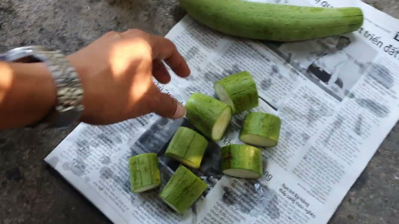 DÀNH CHO AE ĐANG SỬ DỤNG CÁM NÓNG😄