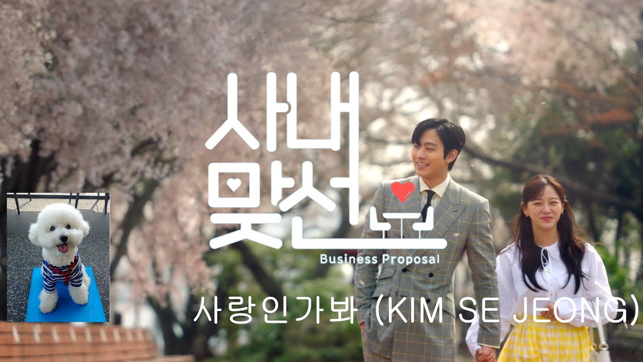 [MV lyrics 가사] 사내맞선OST, 사랑인가봐 김세정 1시간, BUSINESS PROPOSAL OST, LOVE MAYBE, 1 hour, KIM SEJEONG, 영어