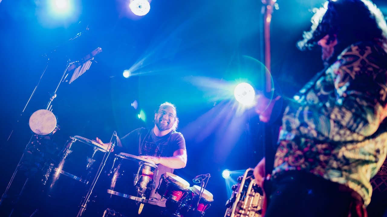Pigeons Playing Ping Pong: 