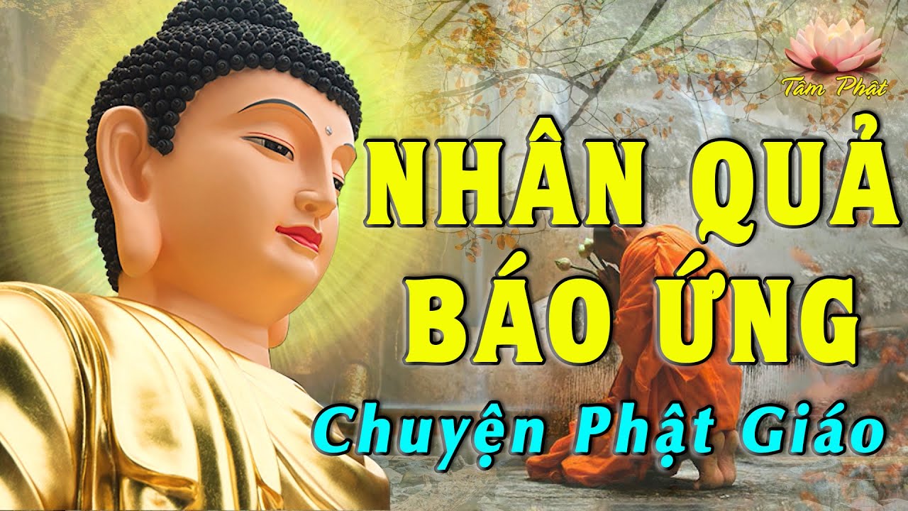 Câu chuyện NHÂN QUẢ Hay Nhất - Chuyện Phật Giáo - Nhân Quả Báo Ứng P3