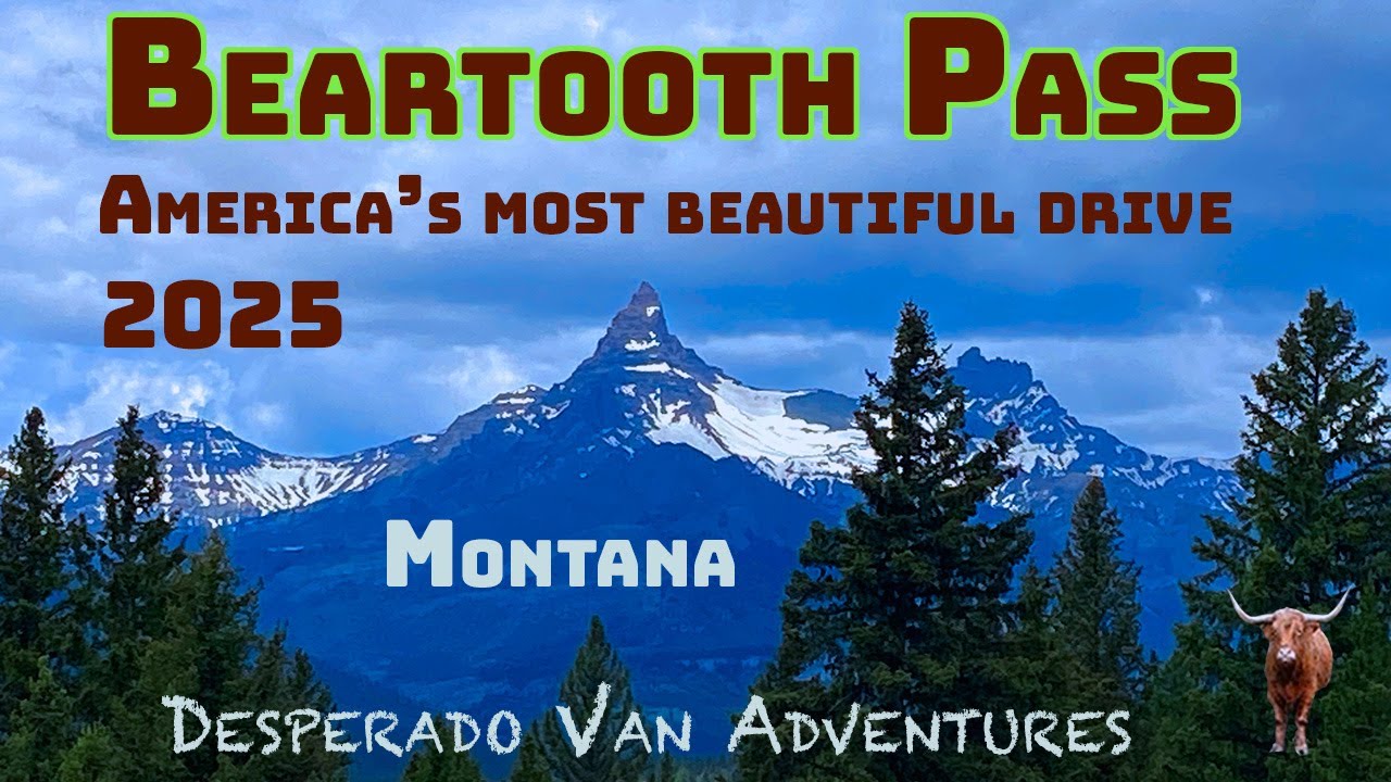 Beartooth Highway Pass | Cooke City to Red Lodge | Scenic Drive + Wildlife | Near Yellowstone Park