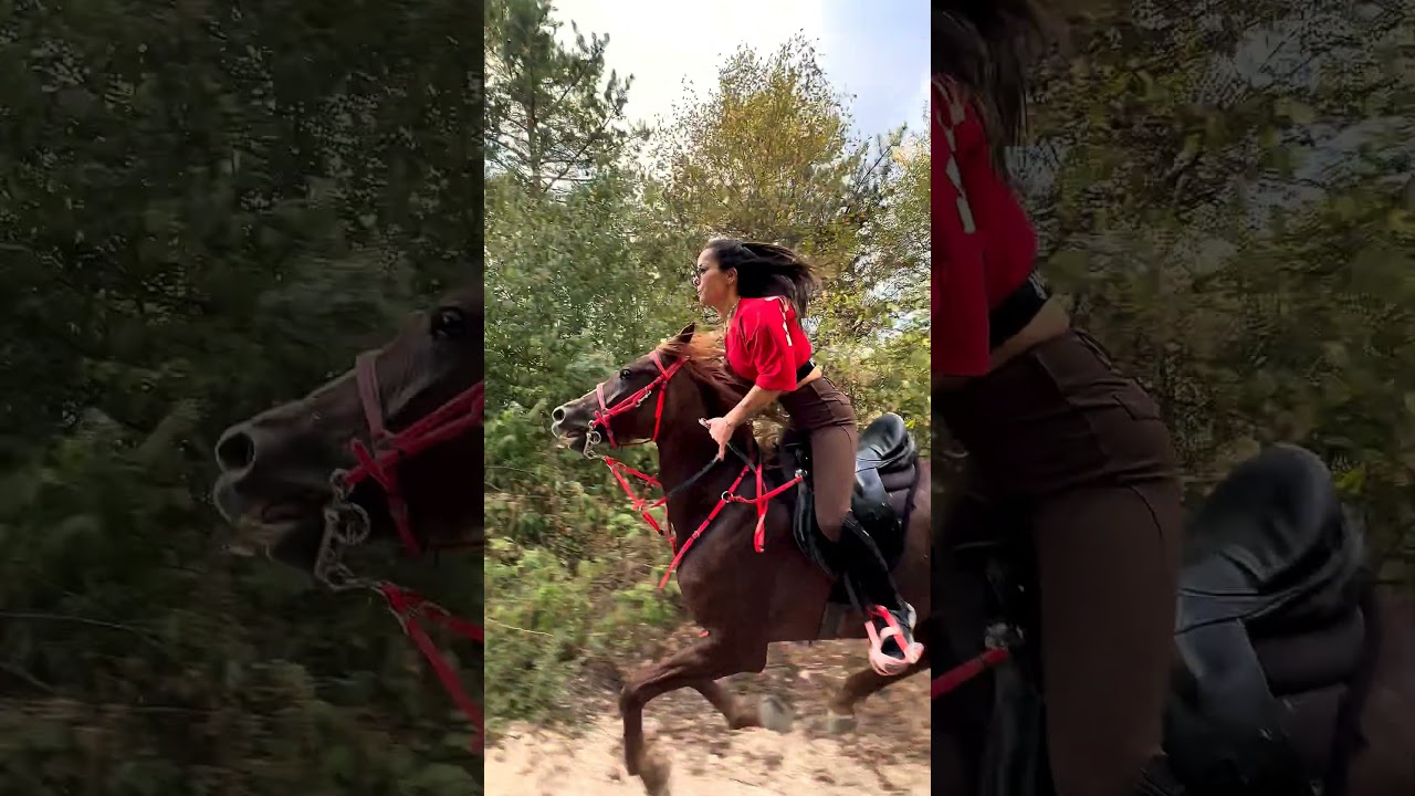 Arabski jeździec konny #jazdakonna