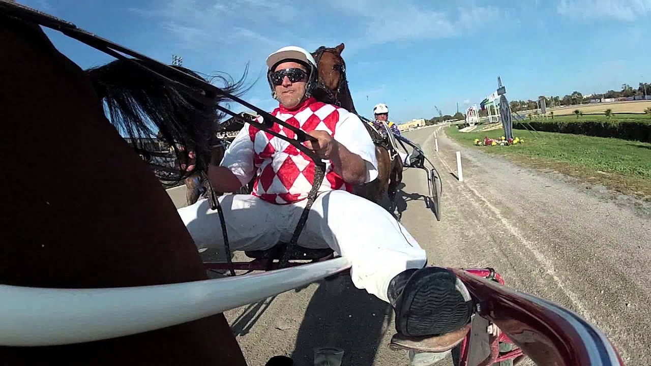 MAN & HORSE - FROM LAST TO FIRST