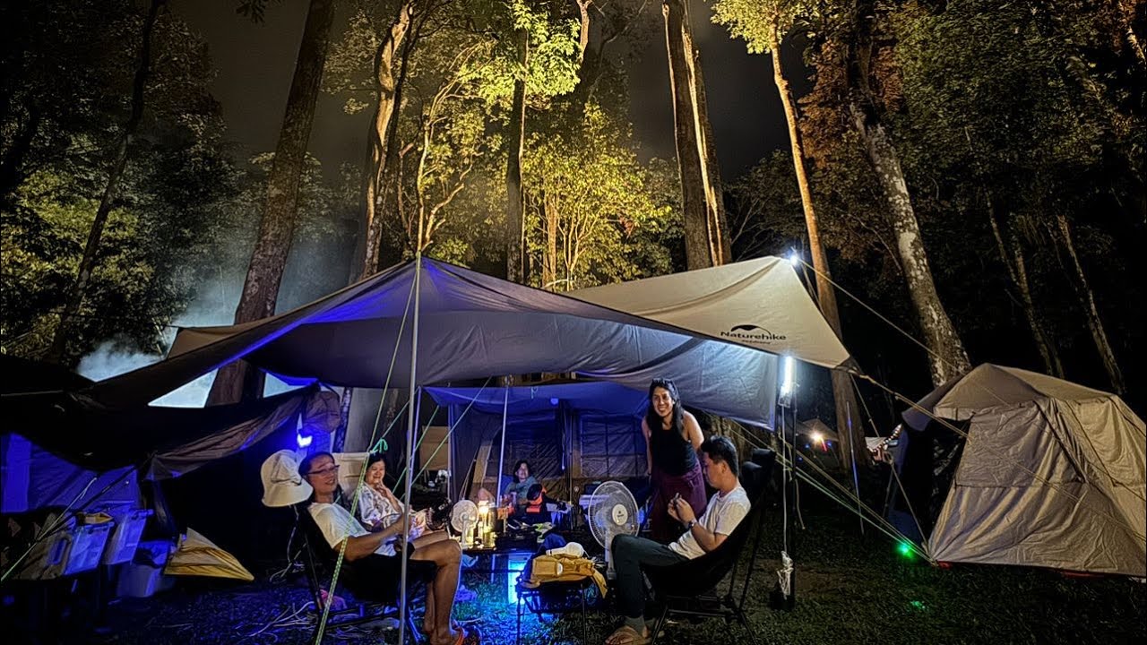 Forest 8 Senses Campsite