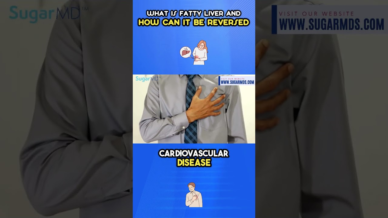 What Is Fatty Liver And How It Can Be Reversed?