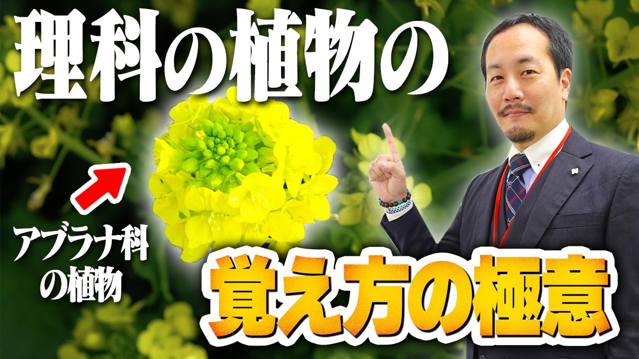 ［中学受験］理科の植物の覚え方の極意！