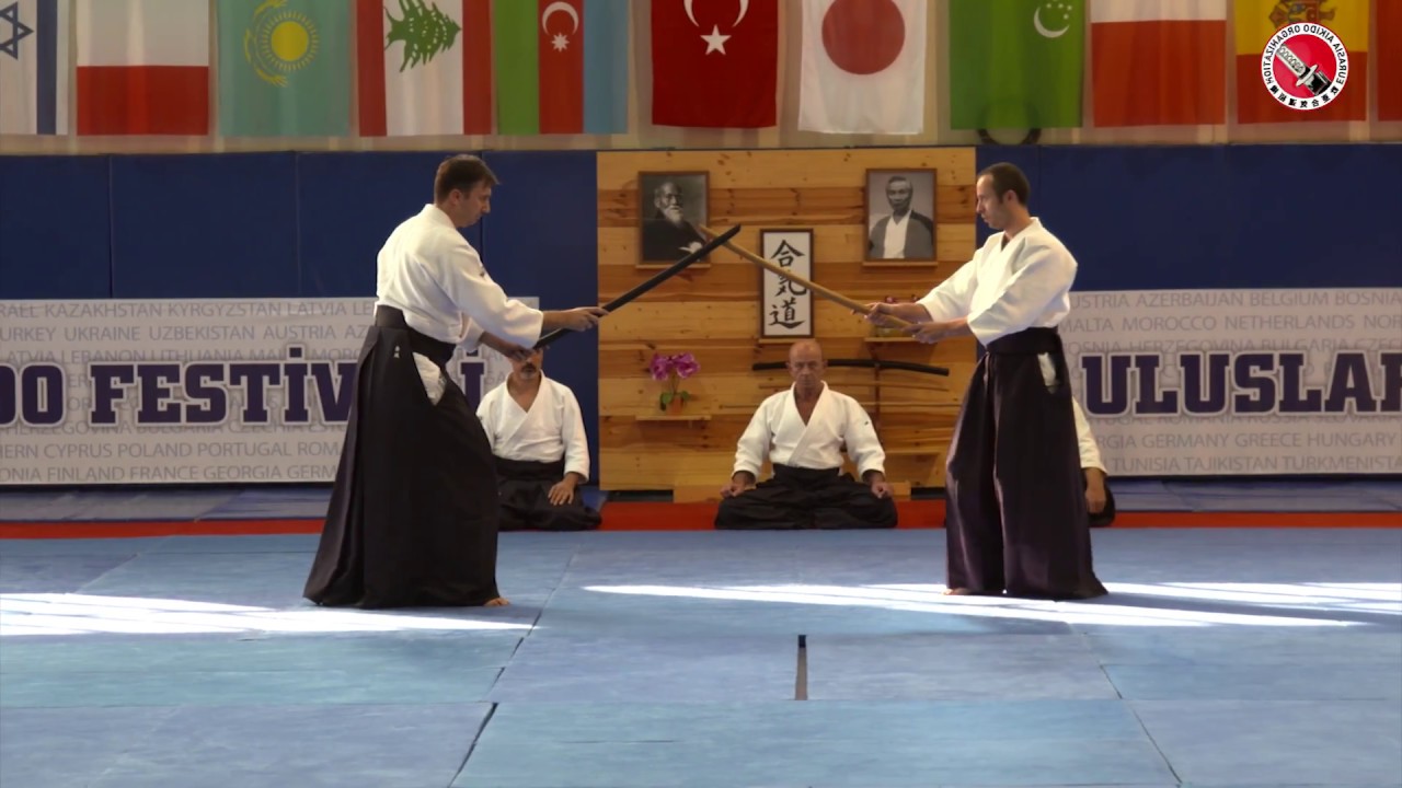 7th International Aikido Festival, Türkiye