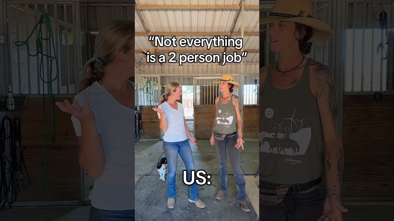 But everything is more fun with a partner 😅🐴 #horsetrainer  #topwindranch #aqha #barnchores