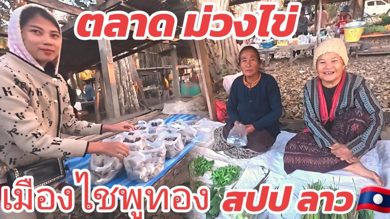 ตลาดนัด บ้านม่วงไข่ เมืองไชพูทอง สปป ลาว23 มกราคม ค.ศ. 2026
