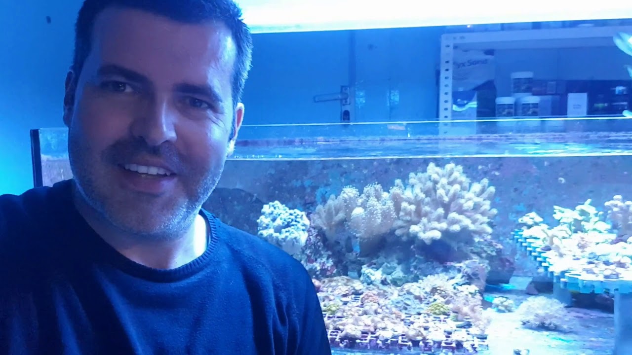 Iniciando con easy booster - TropicalReef.es