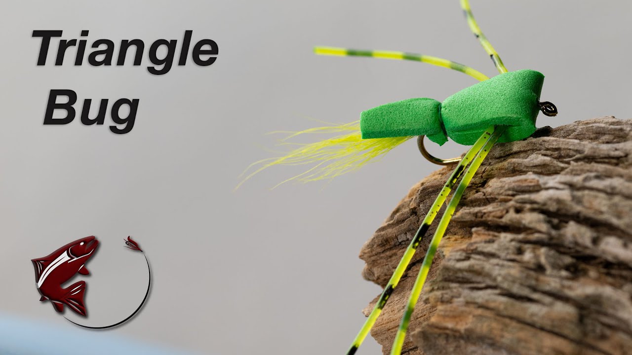 Triangle Bug