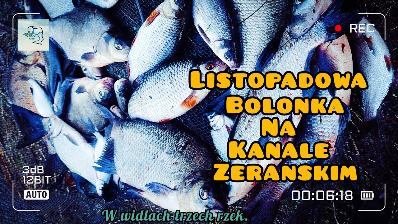 Kanał Żerański i listopadowa bolonka.
