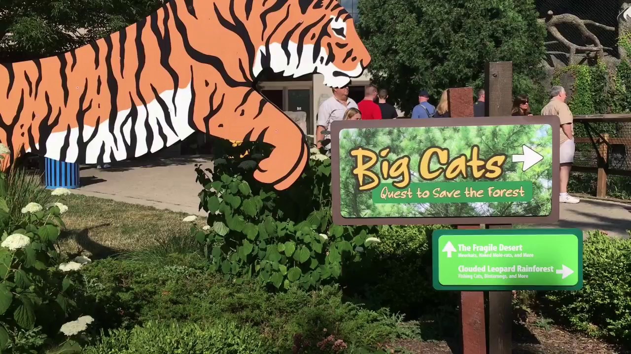 ITZ Classic - Brookfield Zoo: Big Cat Grottos Walkthrough