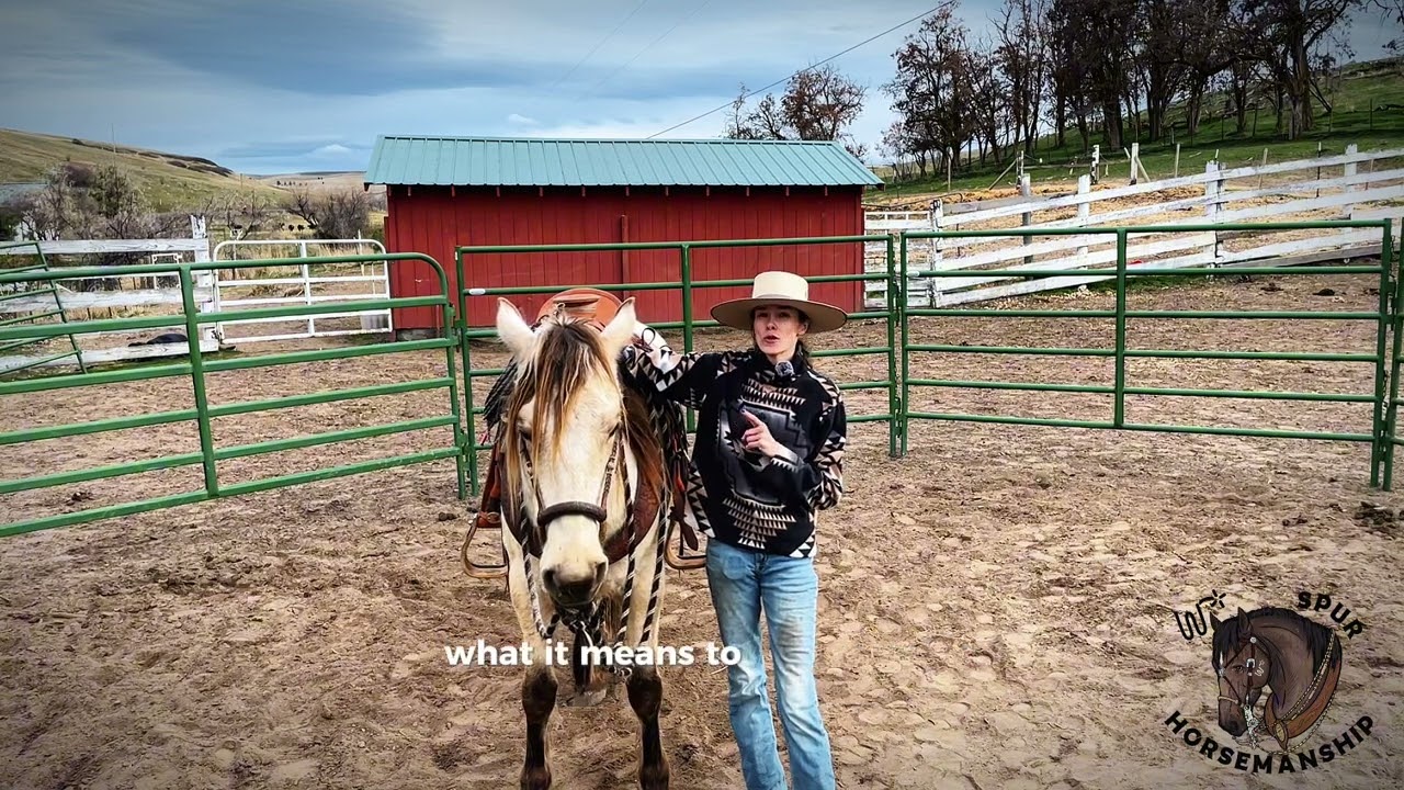 Two weeks ago she was a wild horse completely untouched and terrified of people.