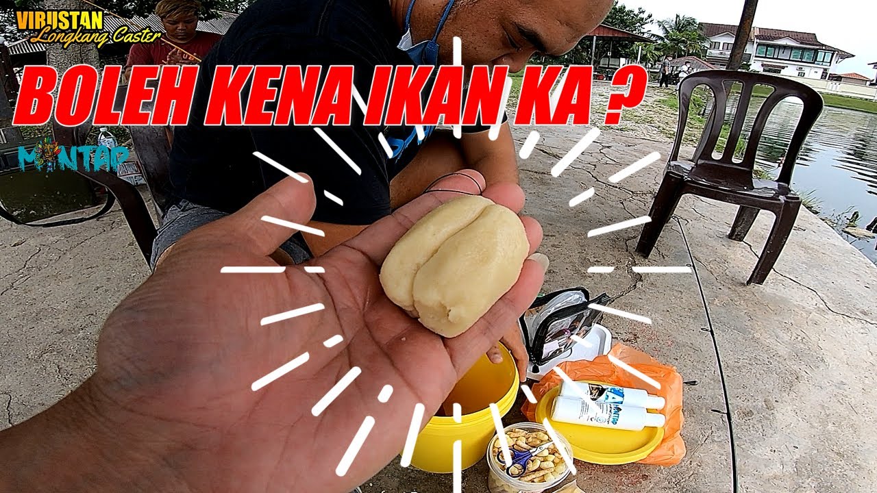 Teknik Memancing Ikan Mekong Menggunakan Umpan Tepung dan Mantapbait PLA BUK