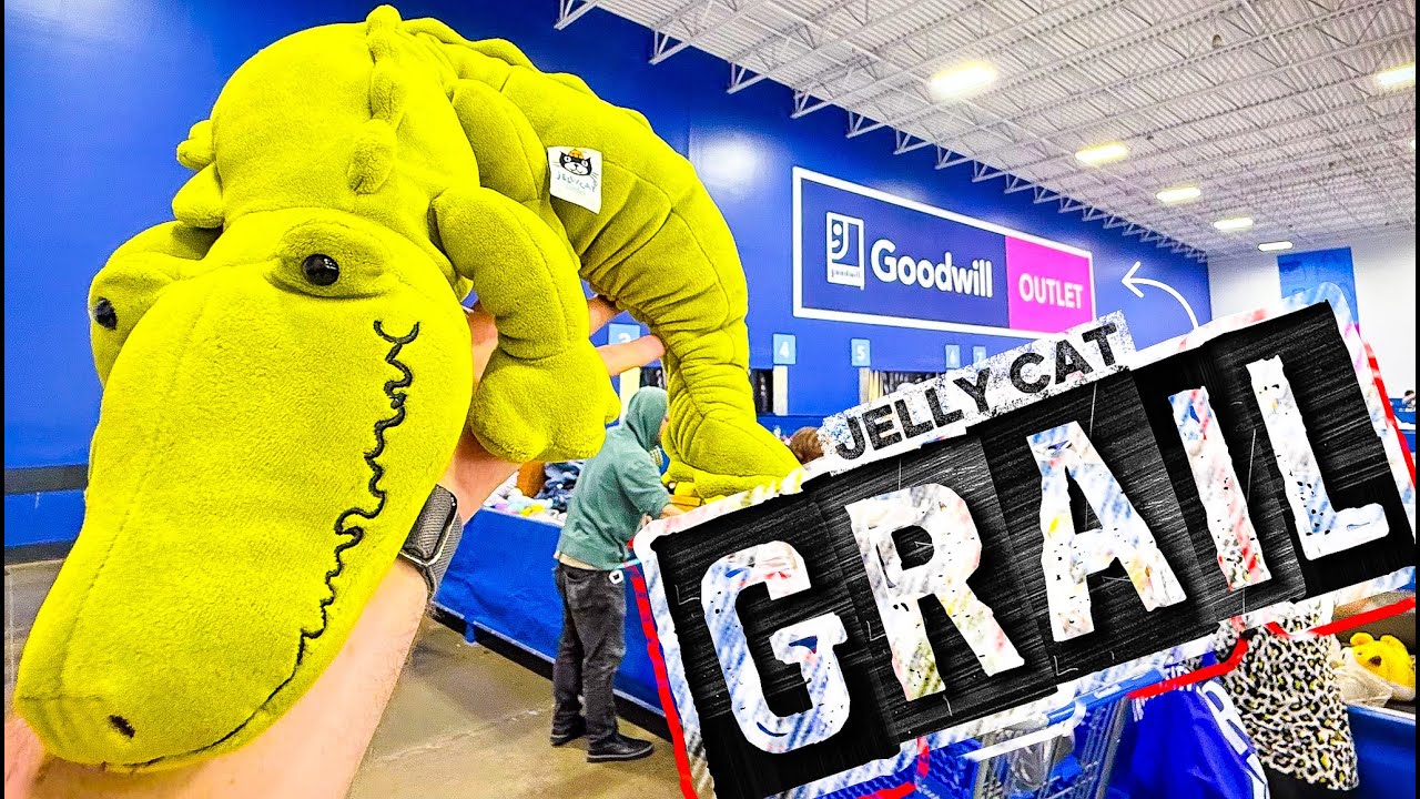 What the jelly?! You won’t believe it’s value! • Goodwill Outlet Bins Shopping • POV Thrifting