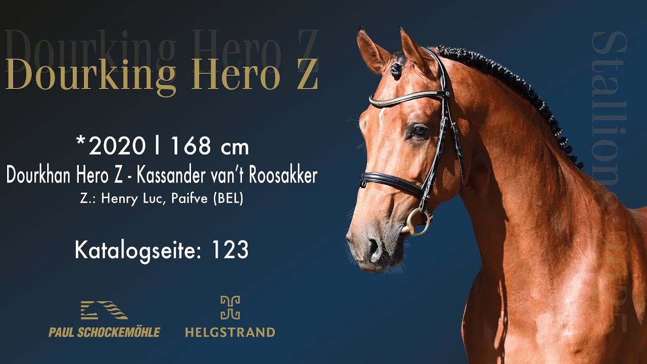 Dourking Hero Z