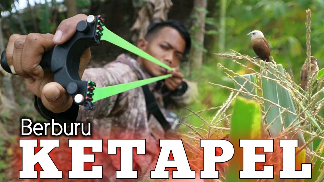 CATAPULT SKILL ! SKIL BERBURU MENGGUNAKAN KETAPEL !