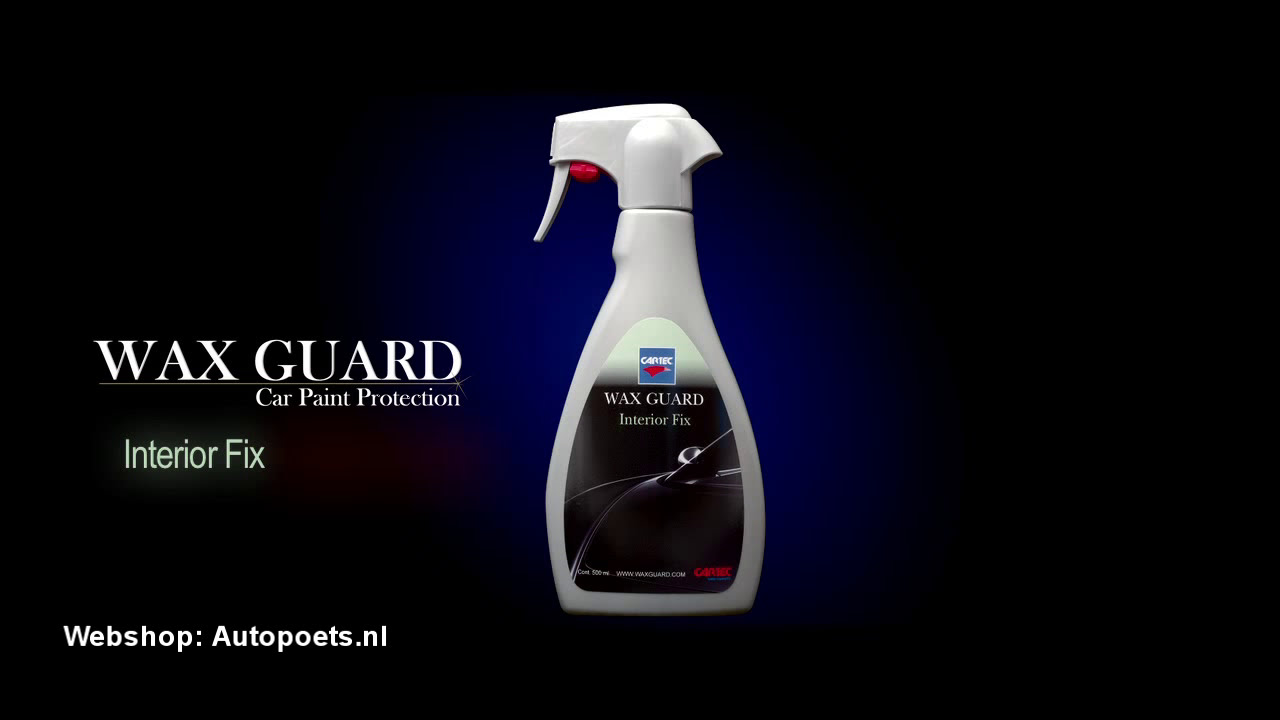 AUTOPOETS.NL - Auto interieur reinigen