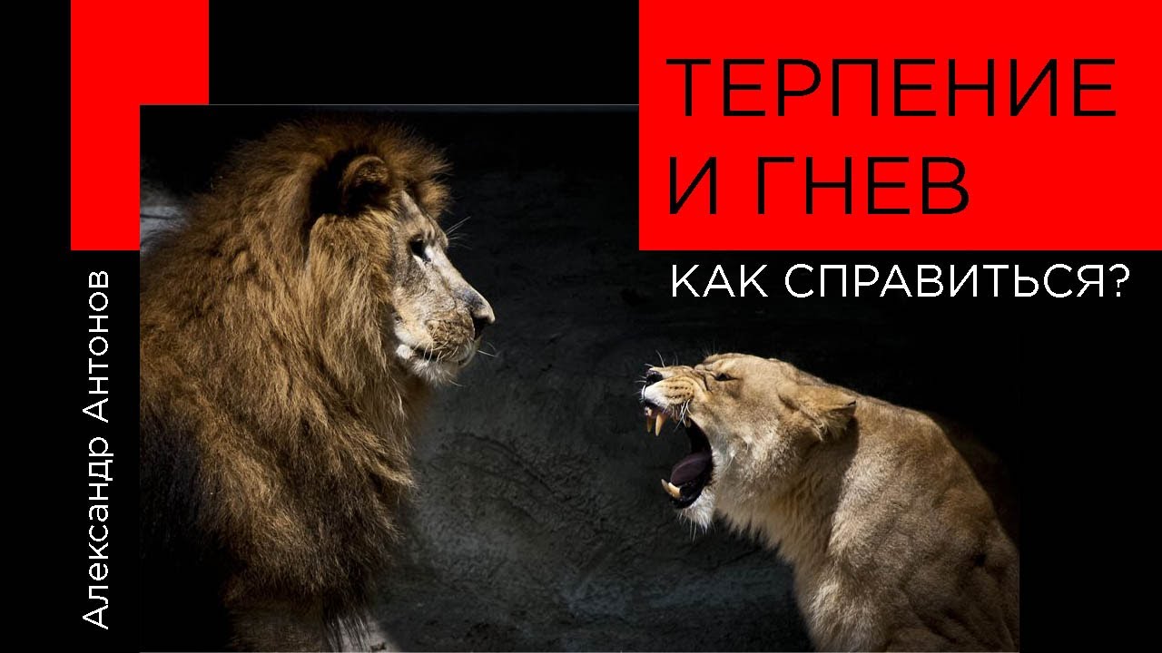 Терпение или гнев, как справиться? | Проповедь Как терпеть людей? | Александр Антонов