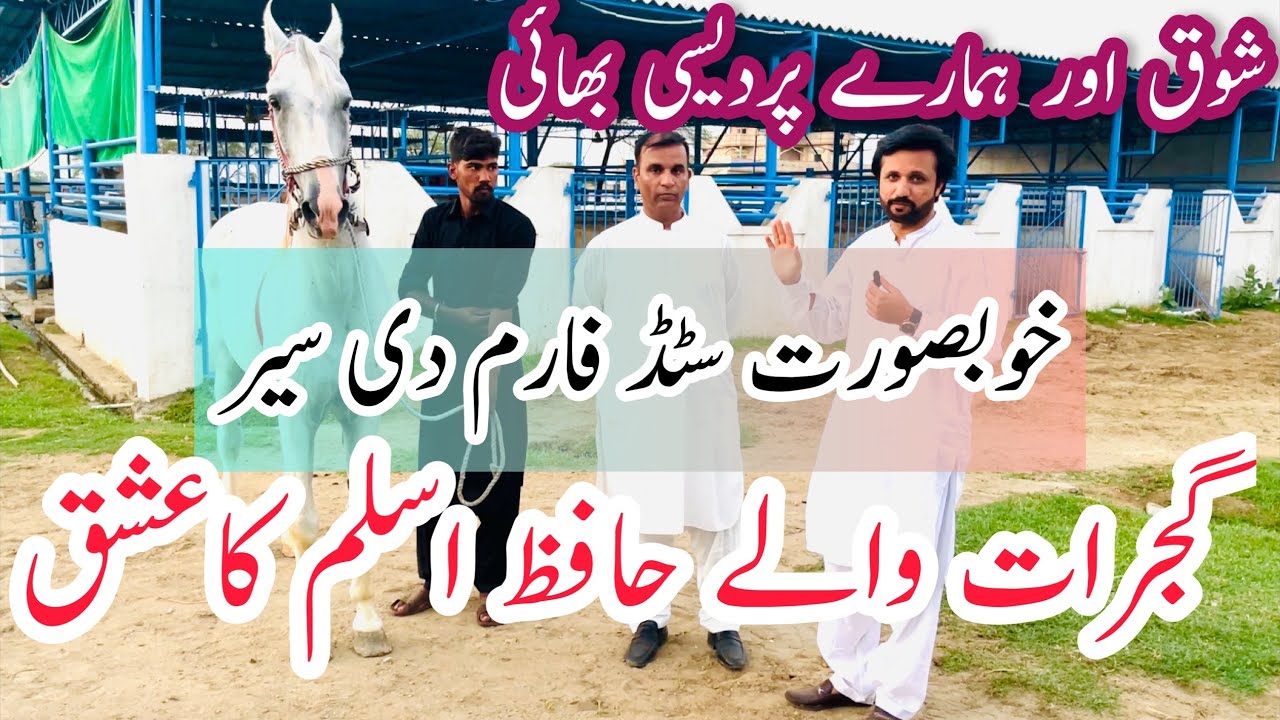 Beautiful Stud Farm in Gujrat || Hafiz Aslam Ka Ishq
