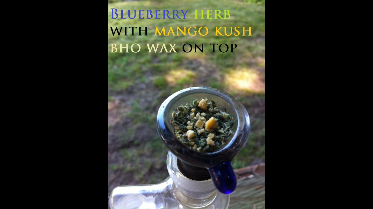 Blueberry Kust bowl with Mango Kush Hash