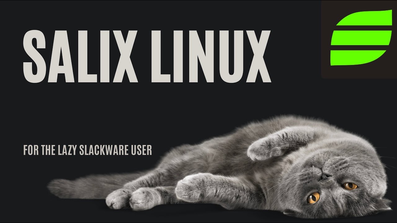 Salix Linux — для ленивых бездельников
