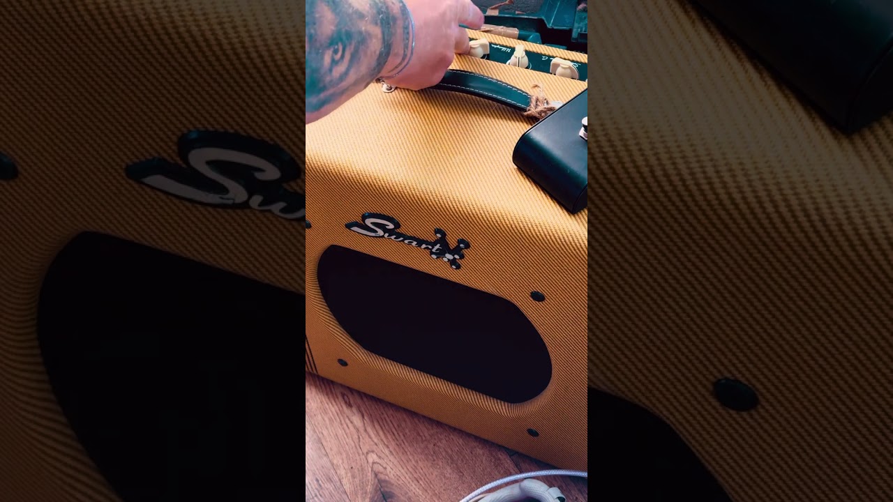 Swart Space Tone Reverb  - TONE !