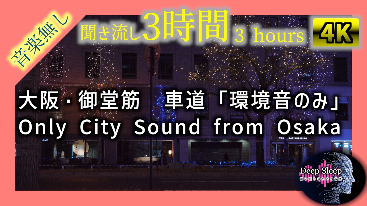 【実写版】大阪・御堂筋の夜｜環境音のみ｜DeepSleep