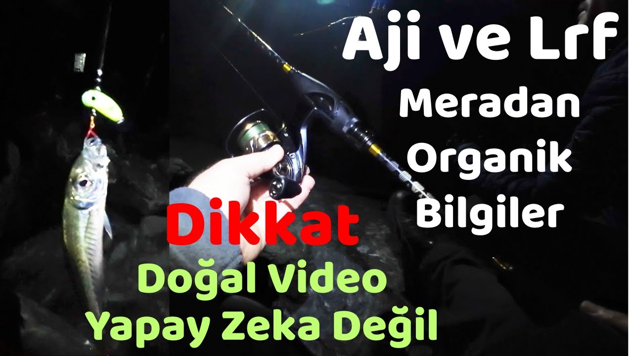 Aji ve Lrf Balık Avı | Doğal Video Yapay Zeka Değil | Yeni Ürünleri Denedik