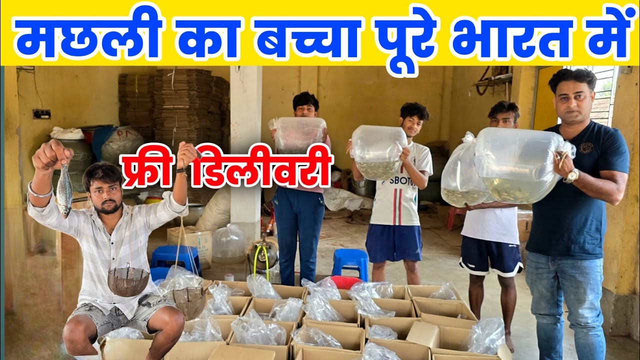 Order baby fish, free delivery all over India | Fish Seed | Fish farming