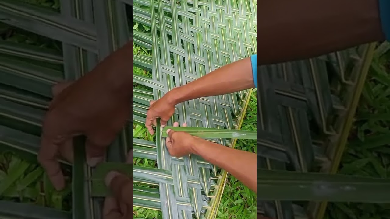 #shorts  / How To Weave Coconut Mat / Coconut Leaf Backdrop / DIY