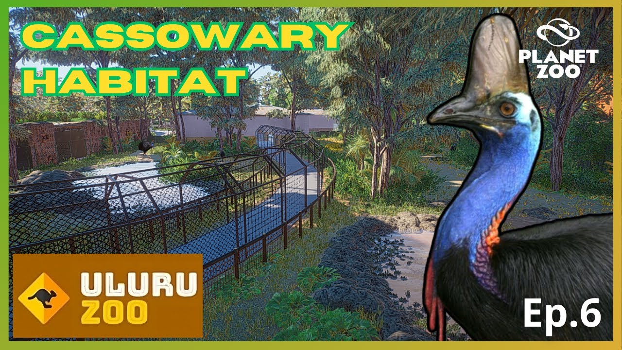 🦘ULURU ZOO: Cassowary Walkthrough - Realistic Habitat - Español🦘|Ep.6| OCEANIA PACK - PLANET ZOO