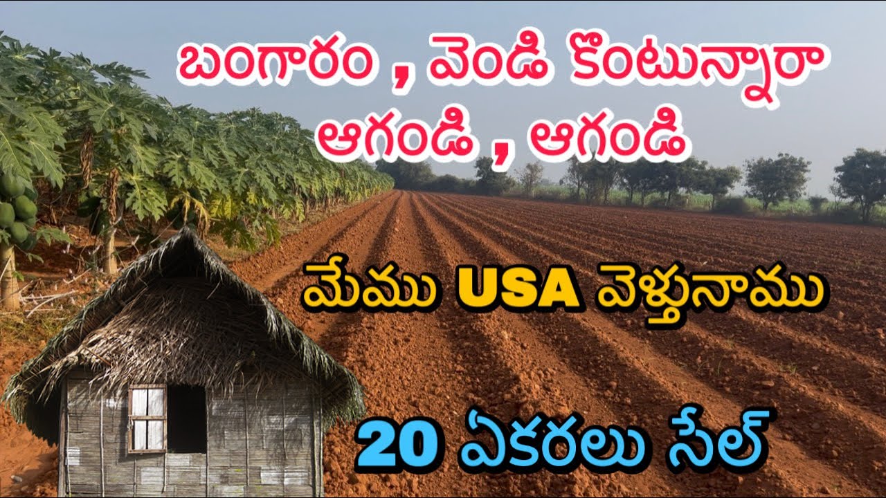 మేము USA వెళ్తున్నాం 😲 | 20 ఎకరాలు సెల్ – Final Price 15 Lakhs మాత్రమే!