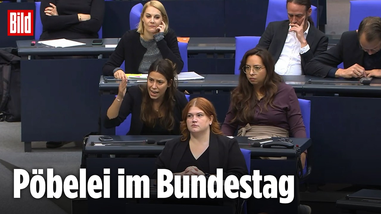 Ordnungsrufe w&auml;hrend AfD-Rede: Linken-Abgeordnete K&ouml;kt&uuml;rk verl&auml;sst den Saal