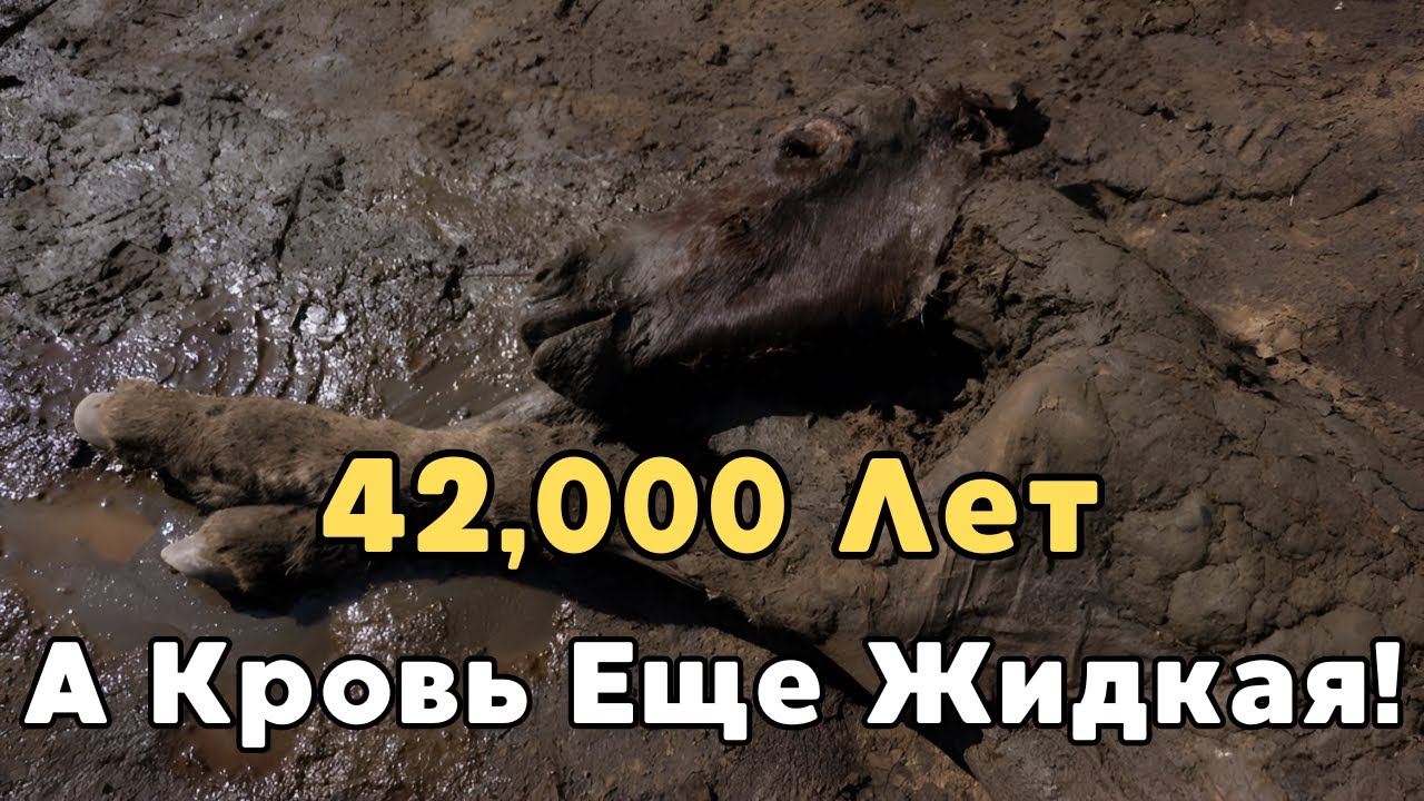 Семь Самых Безумных Находок в Вечной Мерзлоте России и Аляски