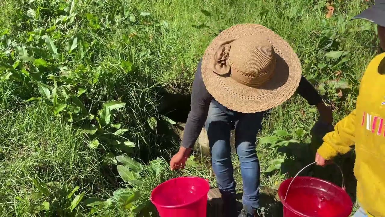 ✅️😃 A falta de agua potable fuimos en el manantial 