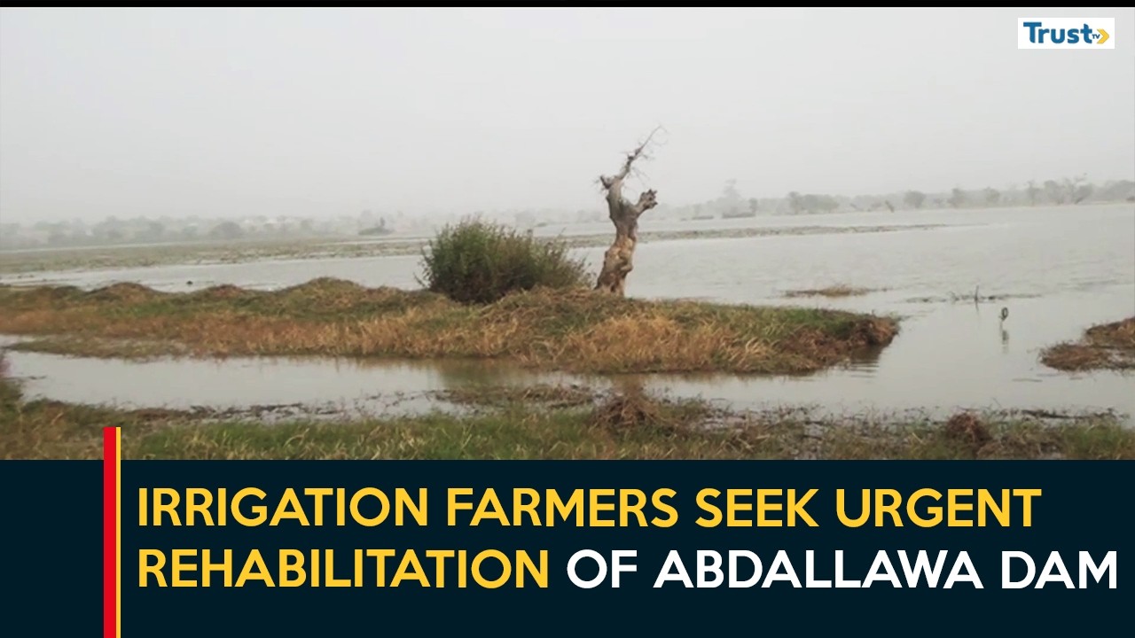Irrigation Farmers Seek Urgent Rehabilitation of Abdallawa Dam