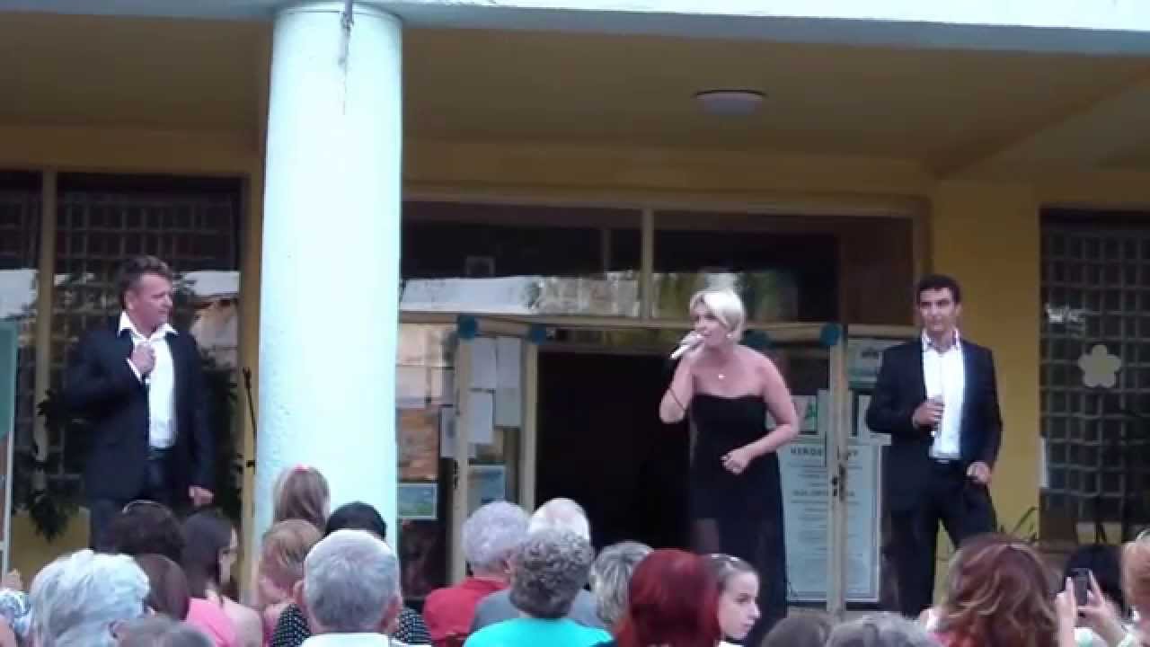 Janza Kata, Dolhai Attila, Mészáros Árpád Zsolt: A holnap hídja
