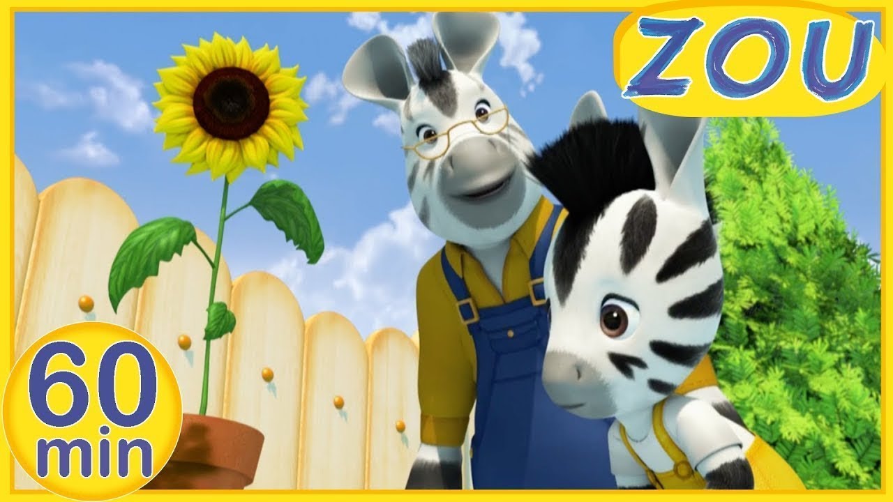 Zou in English 🌻 ZOU DISCOVERS NATURE 🌿 60 min COMPILATION | Cartoons for kids