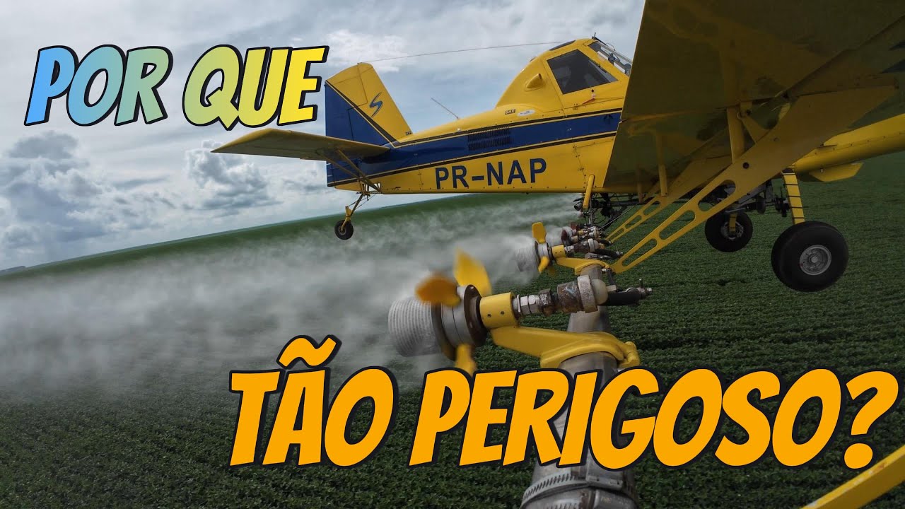 POR QUE OS PRIMEIROS ANOS SÃO TÃO PERIGOSOS?