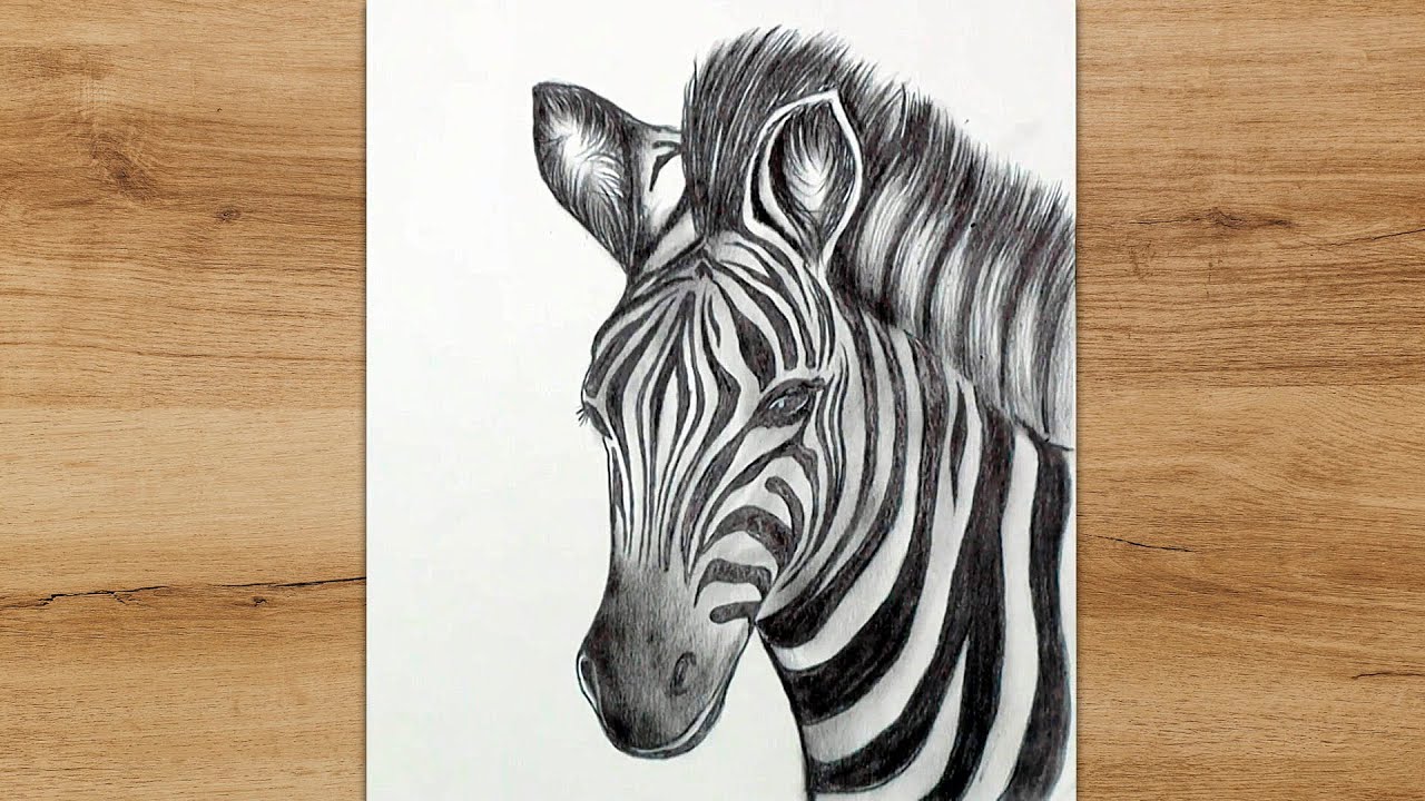 How to Draw a Zebra Head Step by Step |Realistic Zebra Drawing