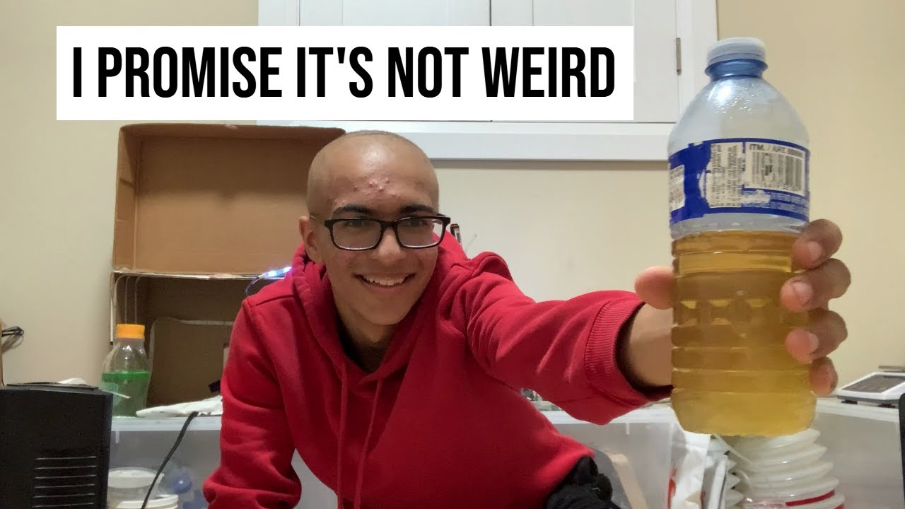 Growing algae with my pee!
