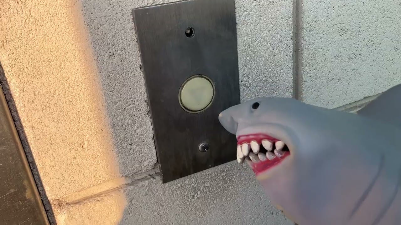 Shark puppet goes on elevator part 136