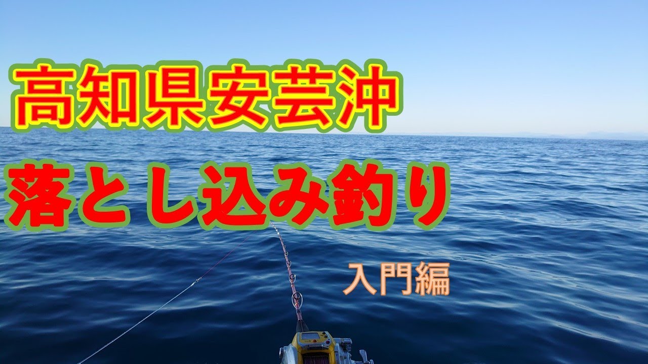 高知県安芸市、安芸の浜ちゃんでネイリ（カンパチ）を狙う。