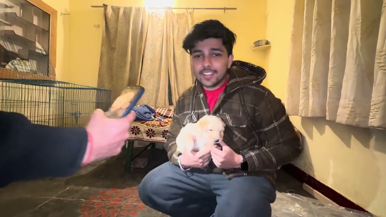 Meet gucci pucchi .. 2 or dogs adopt karlu kya?🥹🩷
