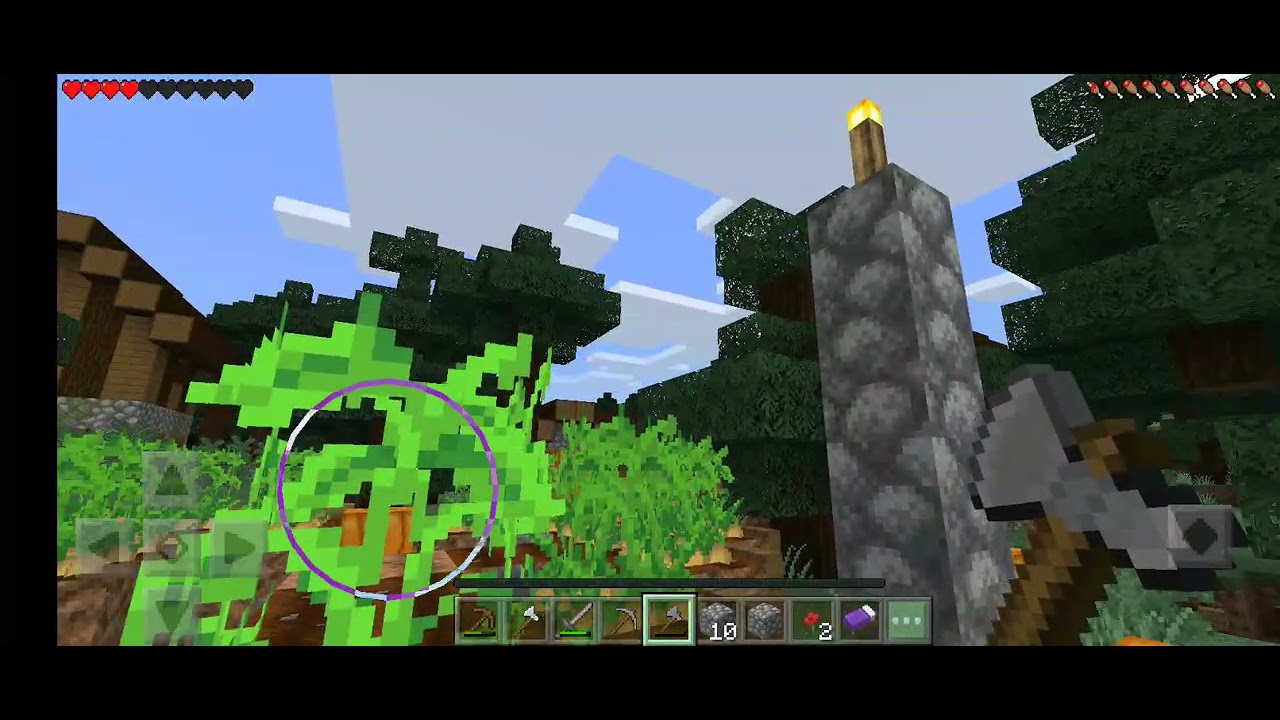 My first episode of my survival series' 🙂