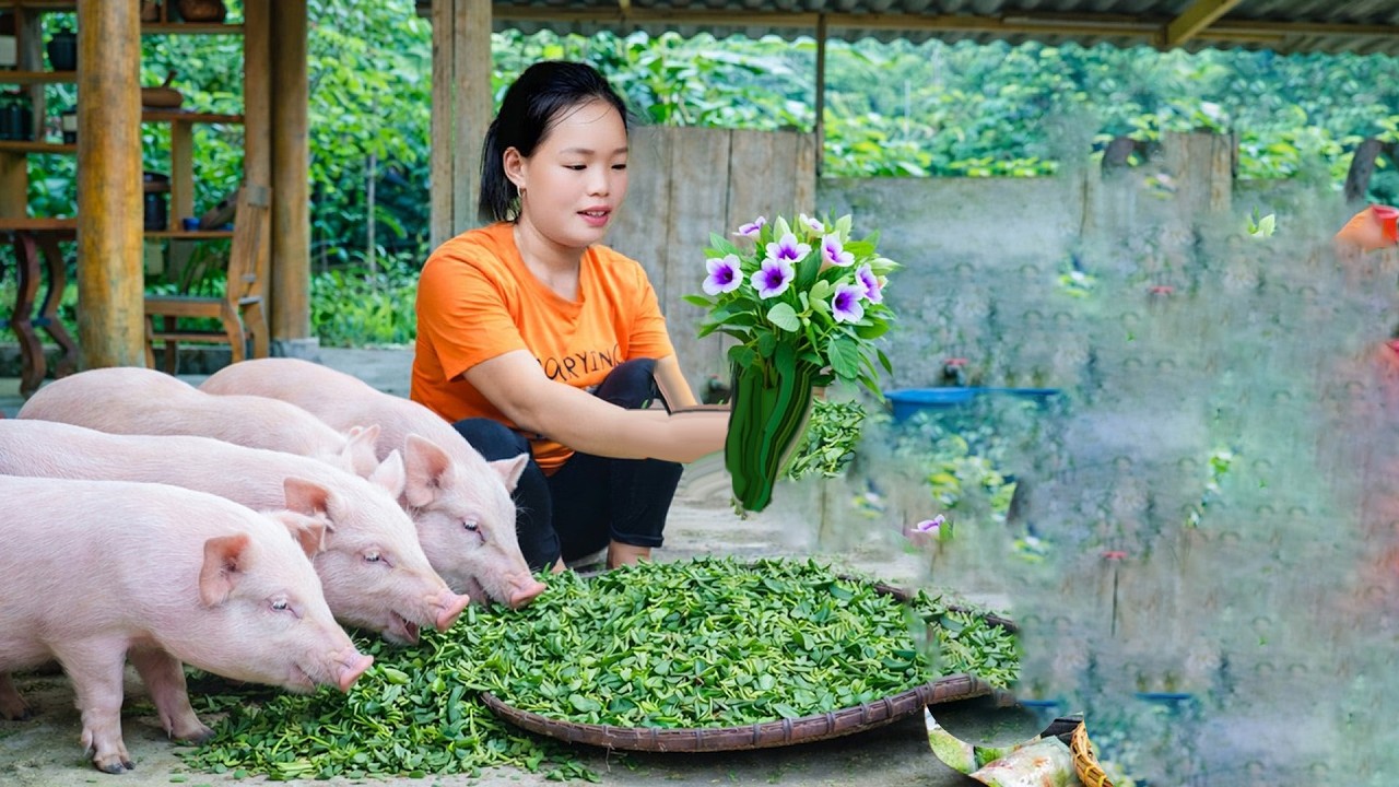 Harvesting green vegetables, catching giant fish to sell at the market take care of cooking for pigs